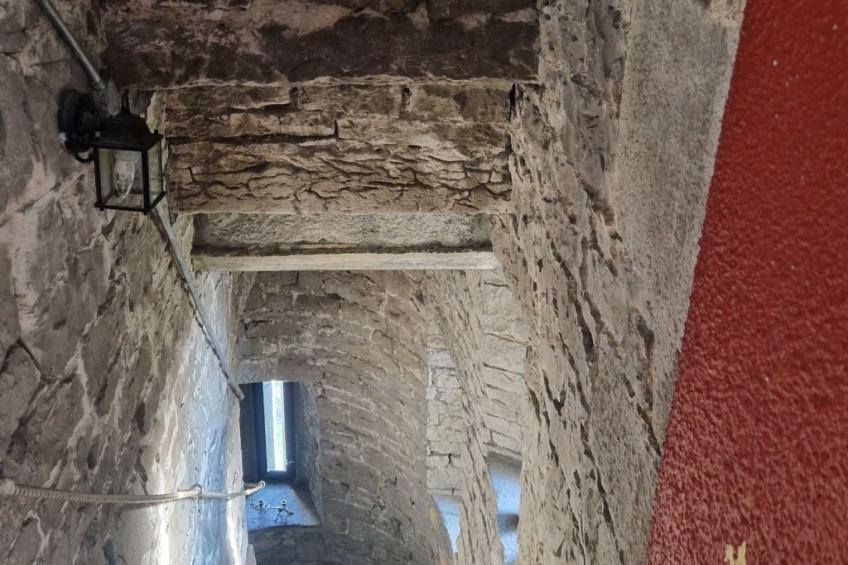 Schloss Ballindooley - foto 32