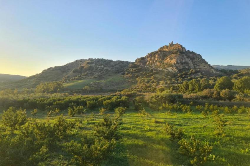 Villa Leonforte - foto 40