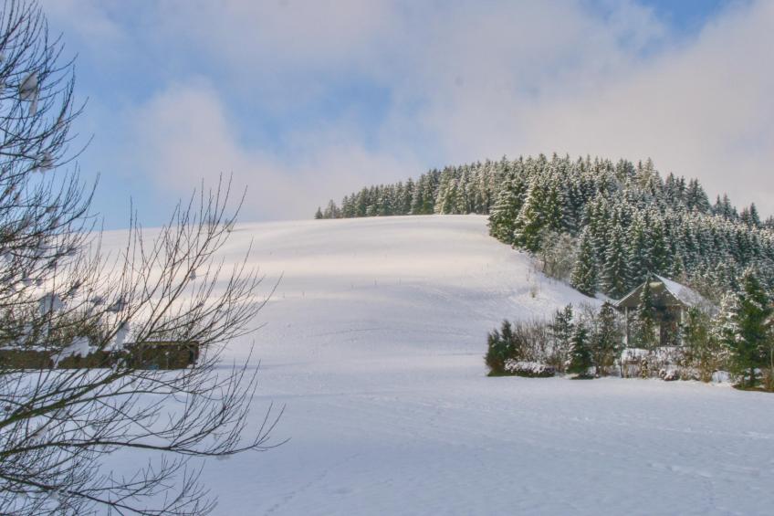 Alte Muehle - foto 23