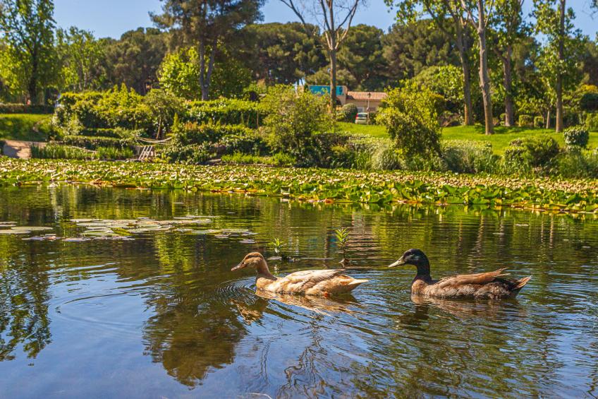 Les Rivages de Coudoulière - foto 41