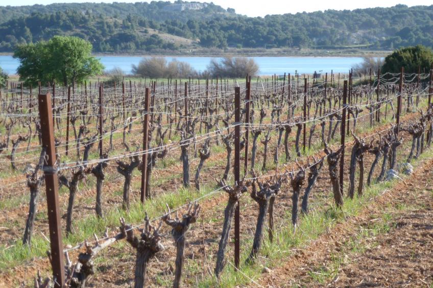 SAISONALE VERMIETUNG: DIE PERGOLA AM STRAND. - foto 21