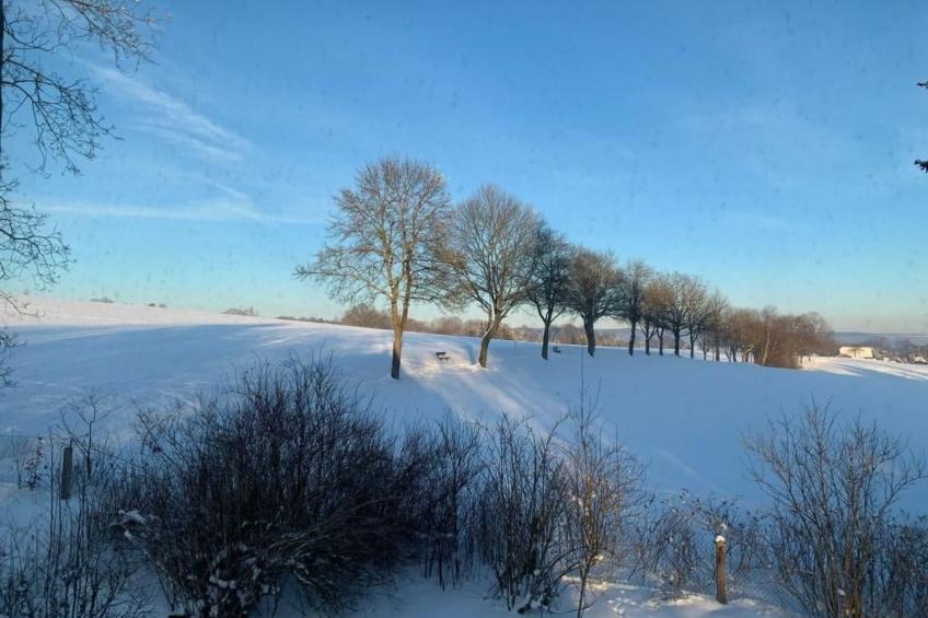 in Bad Brambach mit Großer Terrasse - foto 19