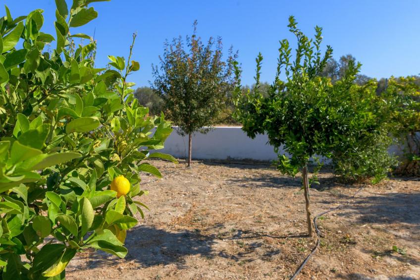 "Villa Galini" - foto 25