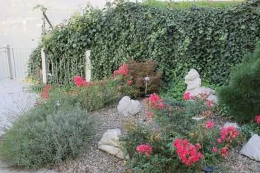 Top Ferienhaus - foto 16