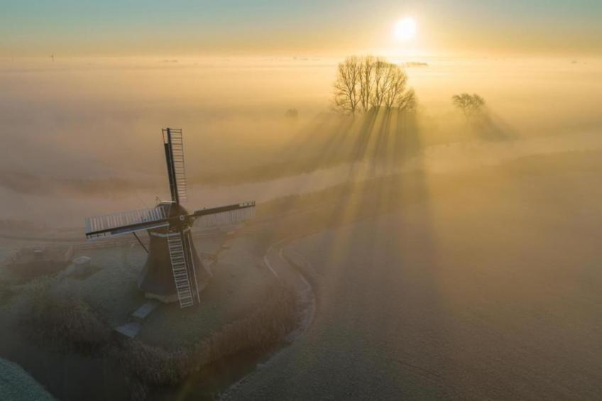 Angema Goet - foto 27