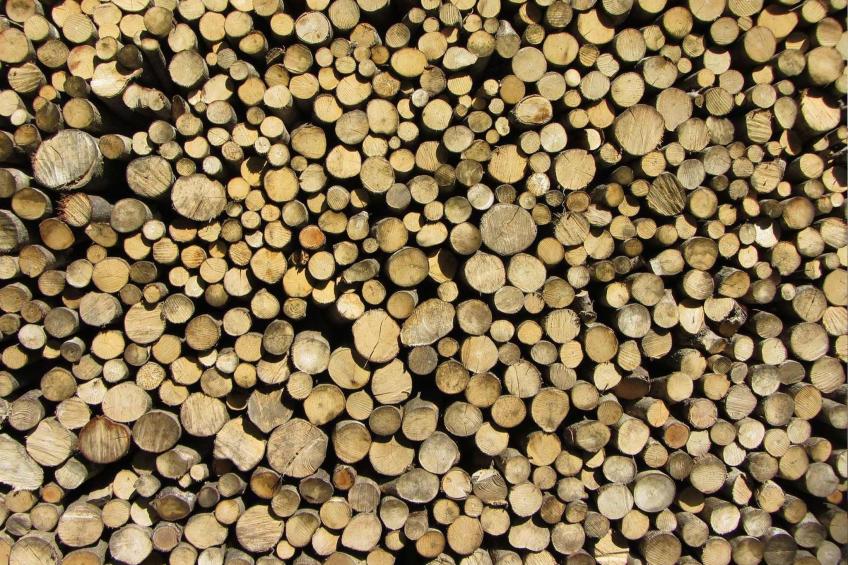 Geräumiges Ferienhaus inmitten der Natur - foto 18