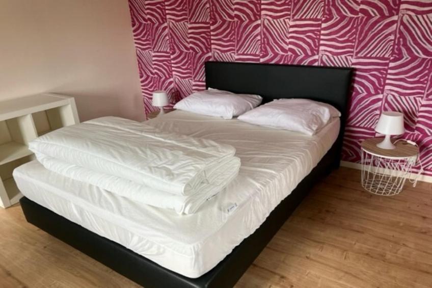 Le Petit Loup de Courtil - foto 17