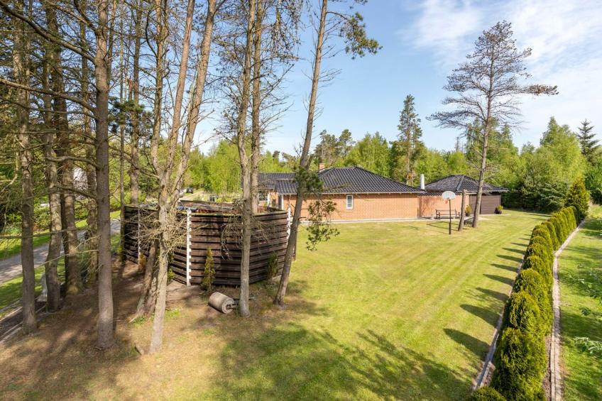 "Wigh" - 800m from the sea in Lolland, Falster and Mon - foto 21