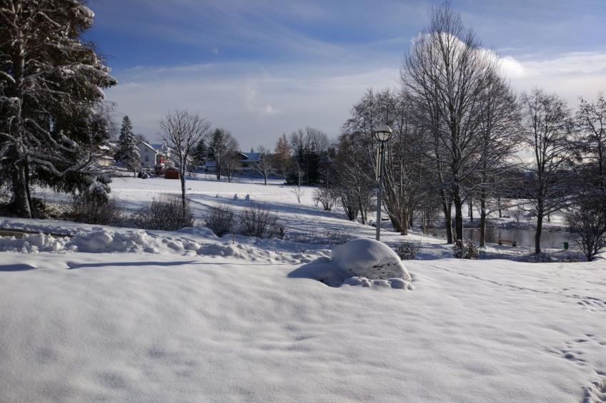 Appartement Seestern - foto 17