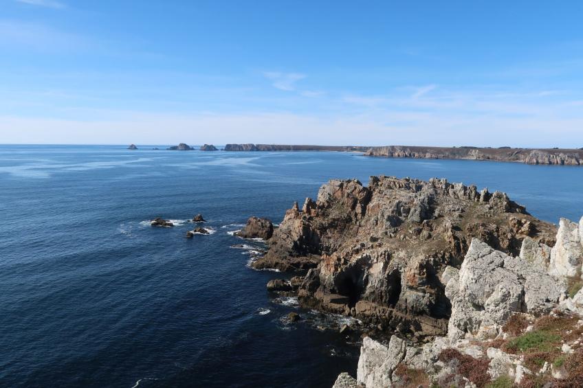 "Les Hortensias" (Die Hortensien) - foto 30