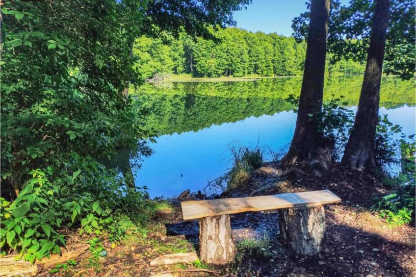 Schlafen unter Reet - Naturhof - Ahlbeck am Haff / Nr 1 - foto 27