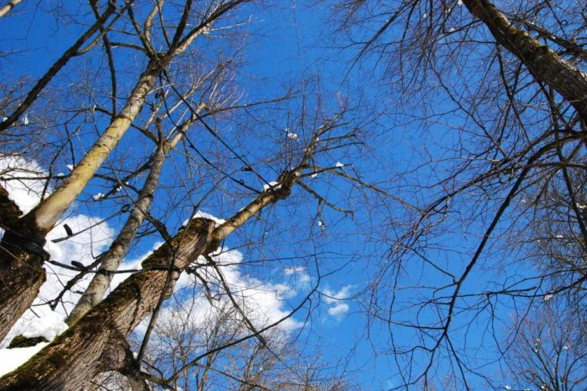 Residence Le Plejadi - foto 25