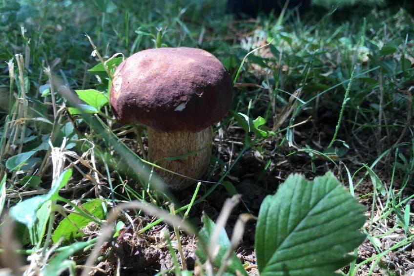 CasaMasa' Wohnung mit Bergblick - foto 40
