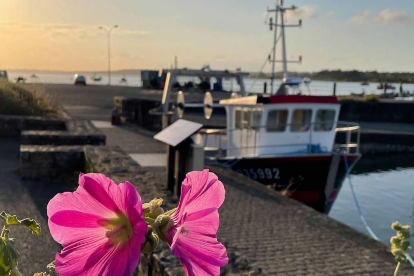 KerDesAmis - foto 47