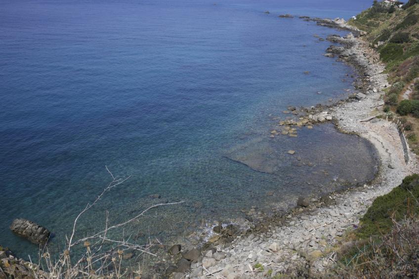Limoni - foto 34