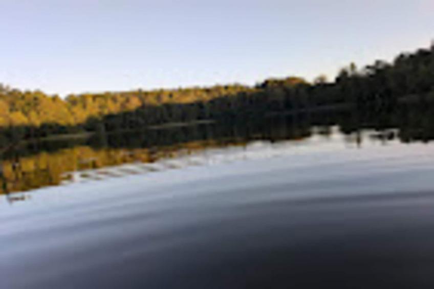 Vakantiedorp am Weinberg, Dobbrikow - Type A - foto 15