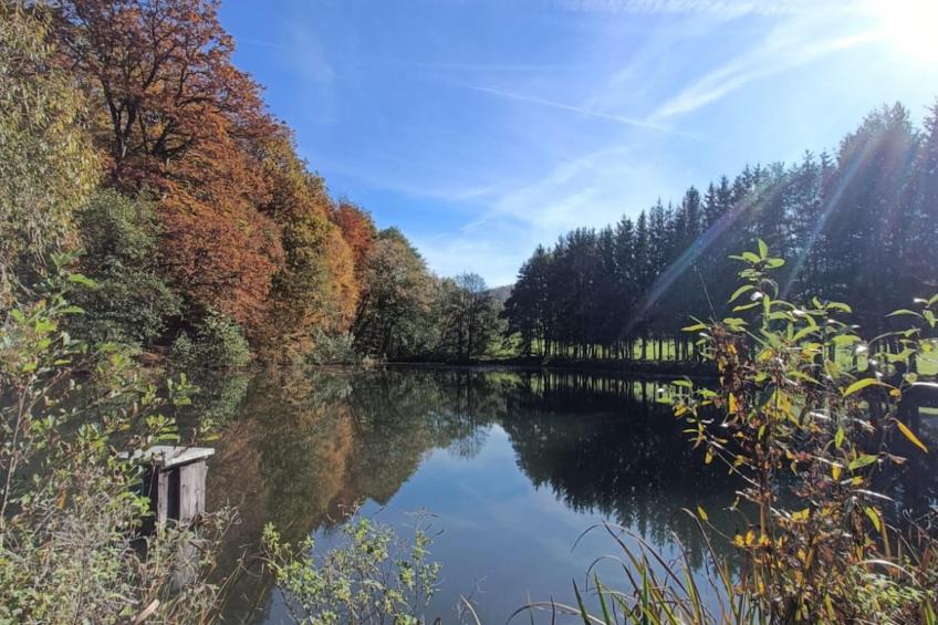 Am Sandberg - foto 21