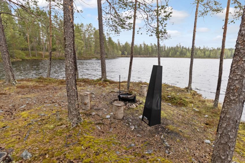Metsä-luosto - foto 18