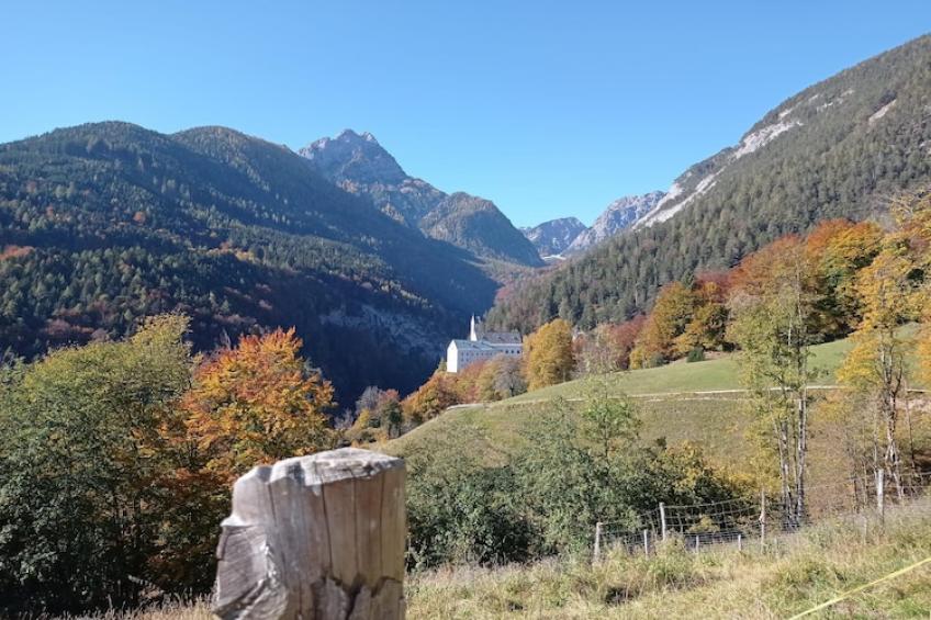 Roßweid Hütte - foto 19
