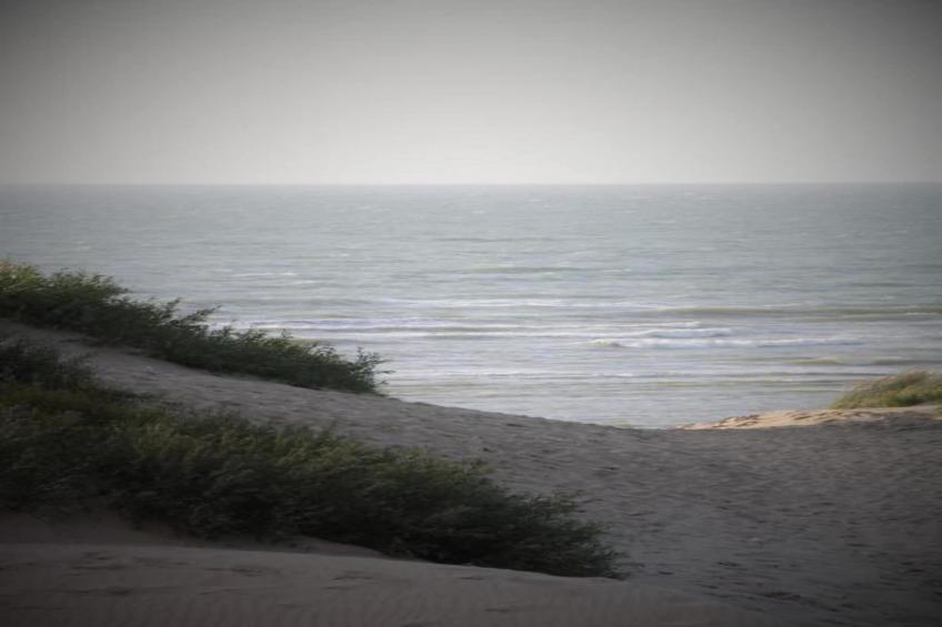 Rosalie 0301 3B - foto 29