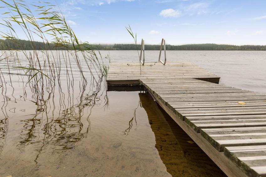 Pihlaja, lomaässä - foto 4