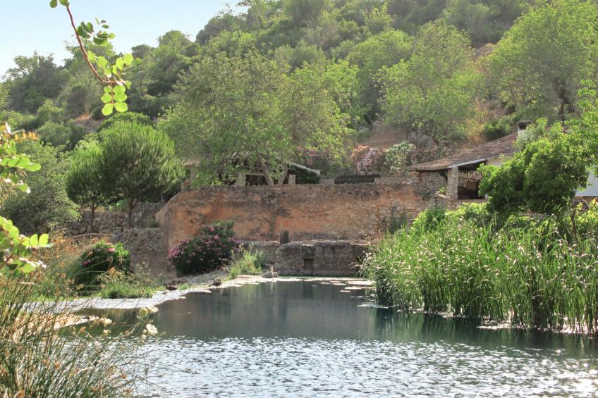 V4 Águia Vermelha - foto 31