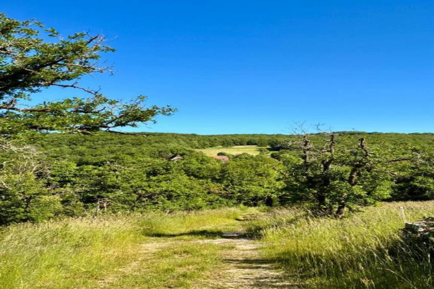 Maison de vacances - MONTFAUCON - foto 40