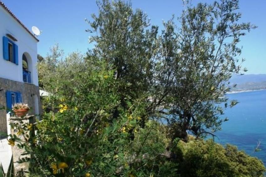 HAUS ELENA - foto 16