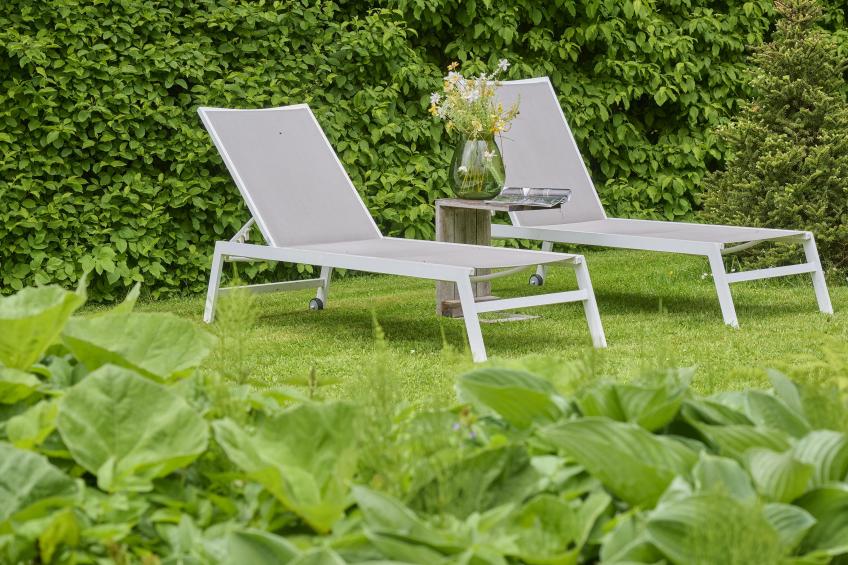 Wellnesshuisje Engelse Tuin - foto 52