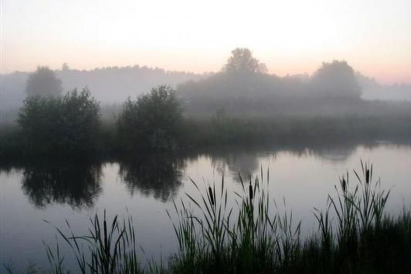 für Naturliebhaber - foto 15