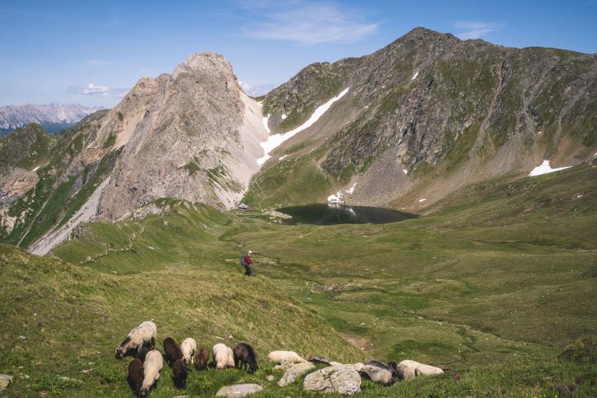 in Strassen mit Privatem Pool - foto 77