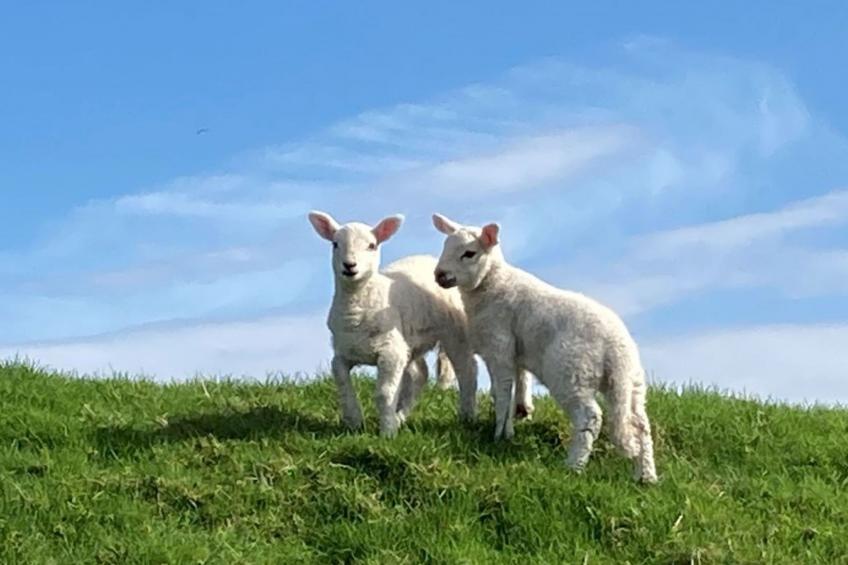 The Studio - foto 23