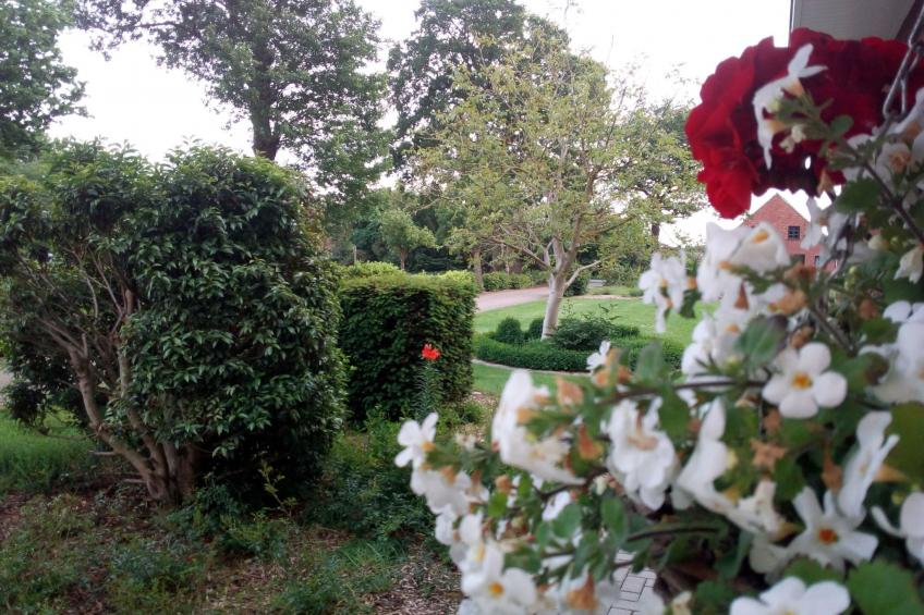 Fewo Schlingshöhe - foto 5