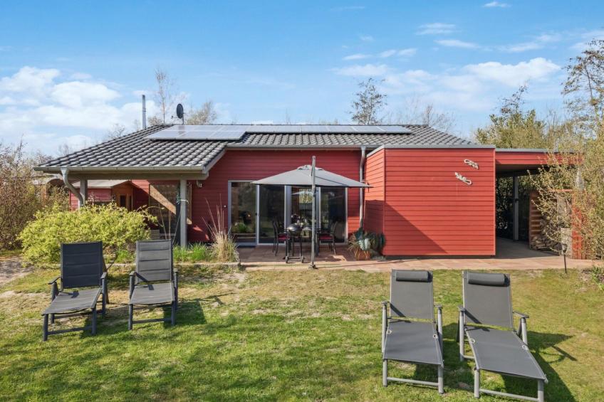 Pinto Rosso - foto 21