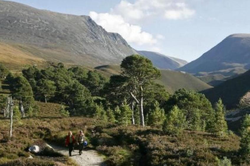 Großes, schottisches Landhaus an der Whiskystraße - foto 25