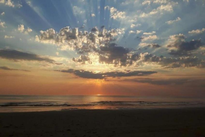 Parel aan de Duinen 8p - foto 36