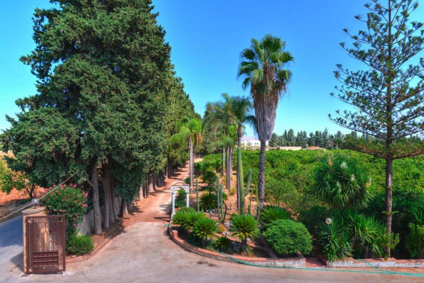 vakantiehuis, Floridia - Type B - foto 13