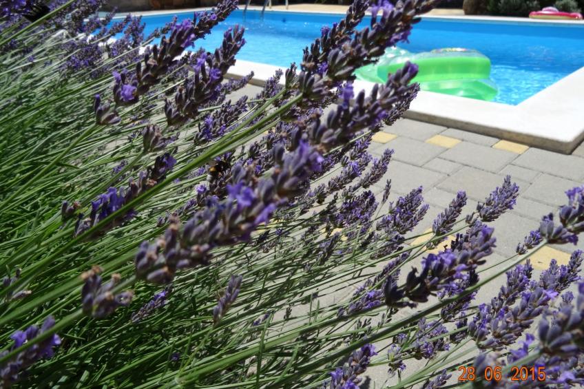 mit Privatpool für 6 Personen ca. 107 m² in Cehici, Istrien (Porec und Umg - foto 5