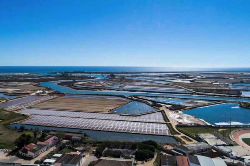 Tavira Flamingos Flat - foto 18