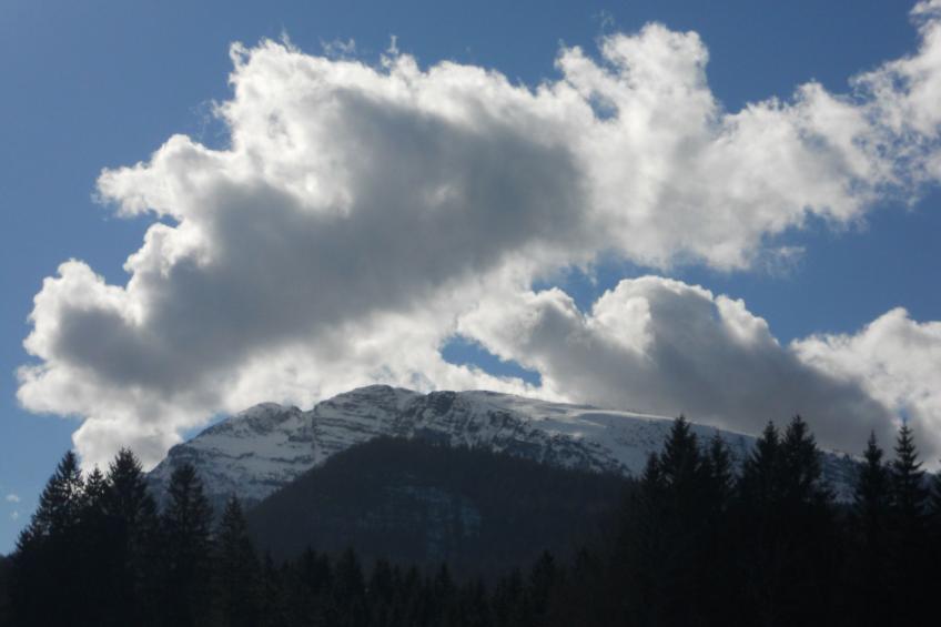 Komfortable Ferienwohnung mit herrlichem Bergblick - foto 16