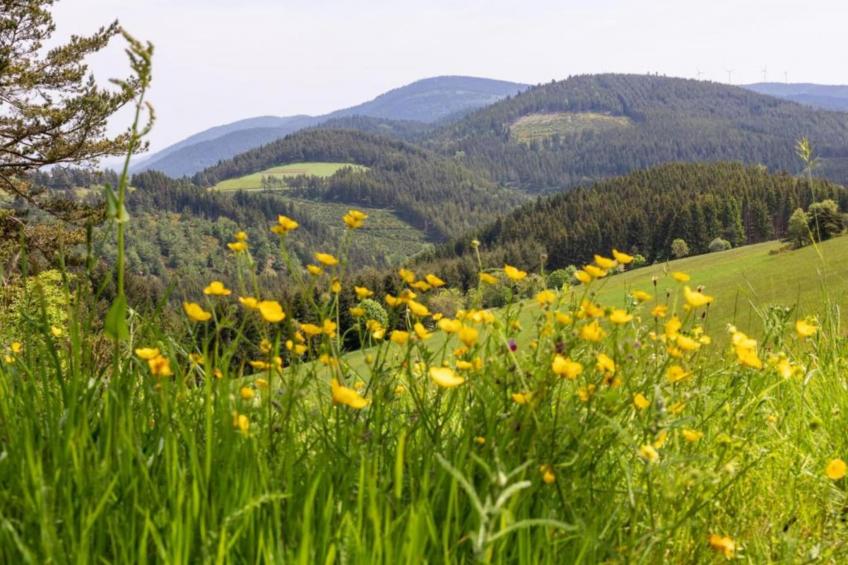 A Beautiful Stone farmhouse - foto 34