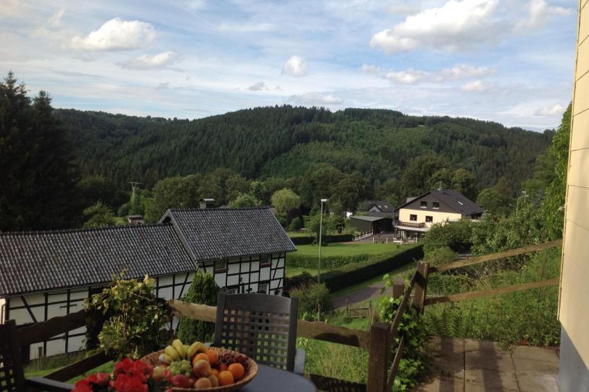 Großes, modernes Ferienhaus mit Terrasse - foto 14