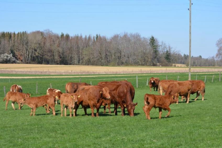 Wohnung "Rustique" - foto 16