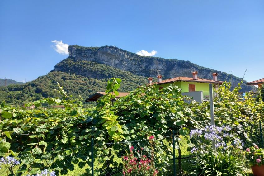 Casa Padronale nähe Arco - foto 8