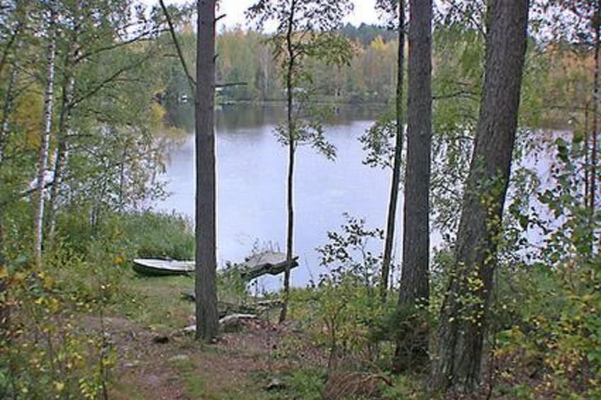 Mustikka - foto 21