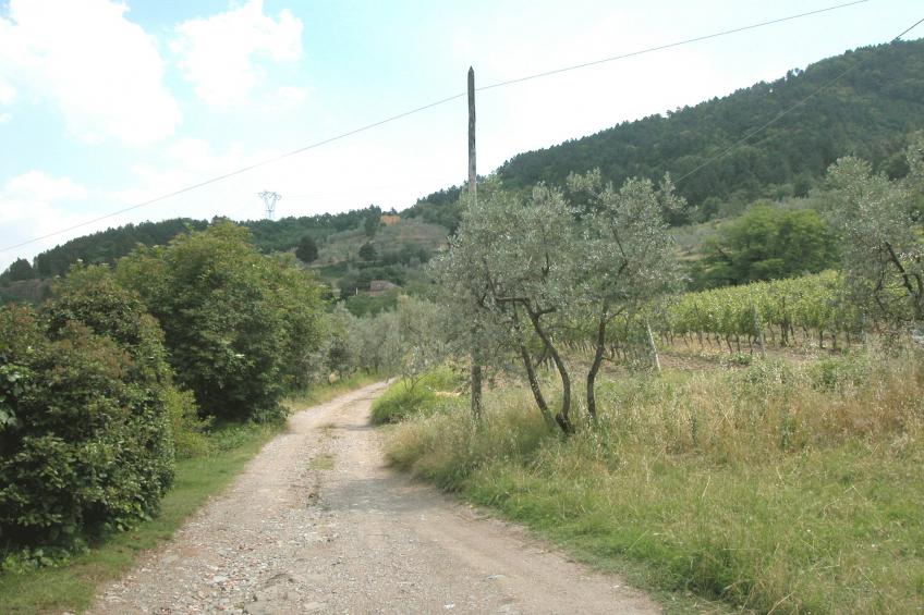 Casa La Fioraia - foto 40