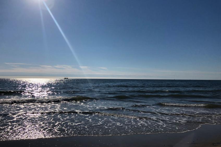 Haus Heger - foto 23