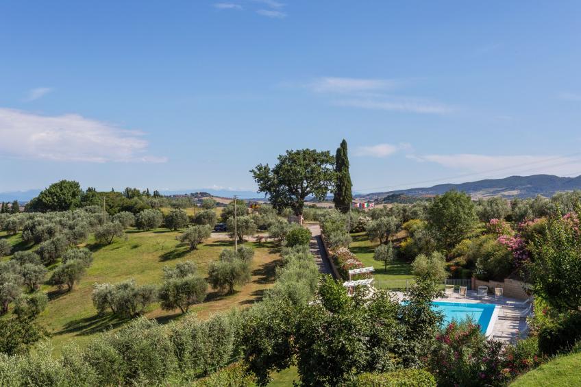 Mandorlo - foto 27