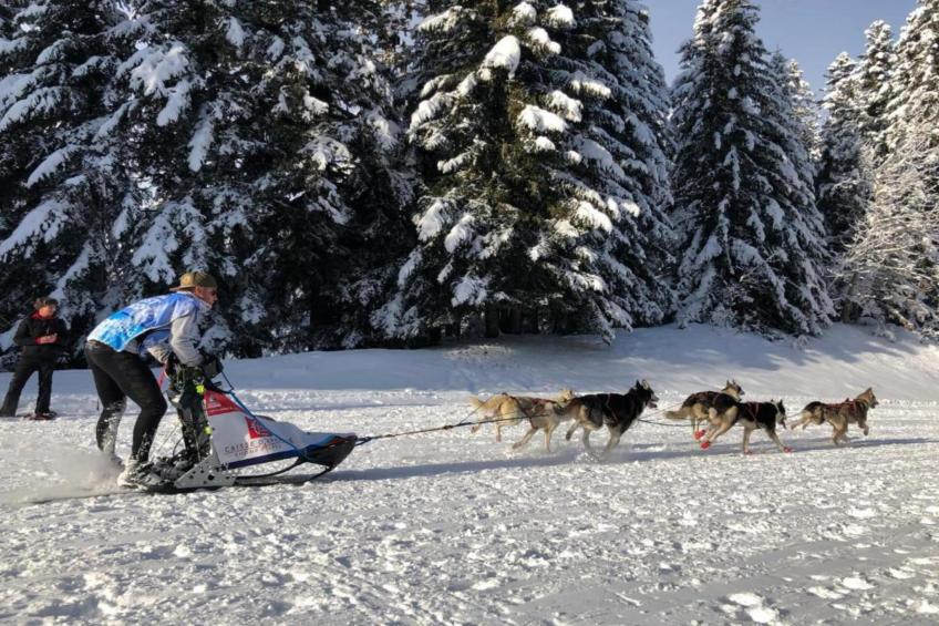 T. DU MOREL A N°25 - 2P5 - foto 29