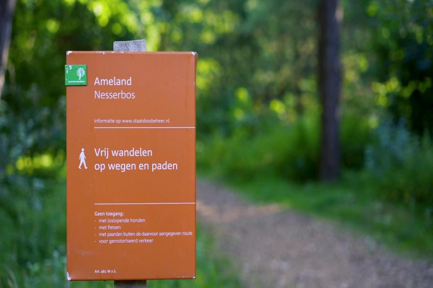 Sea Lodge Ameland - foto 24